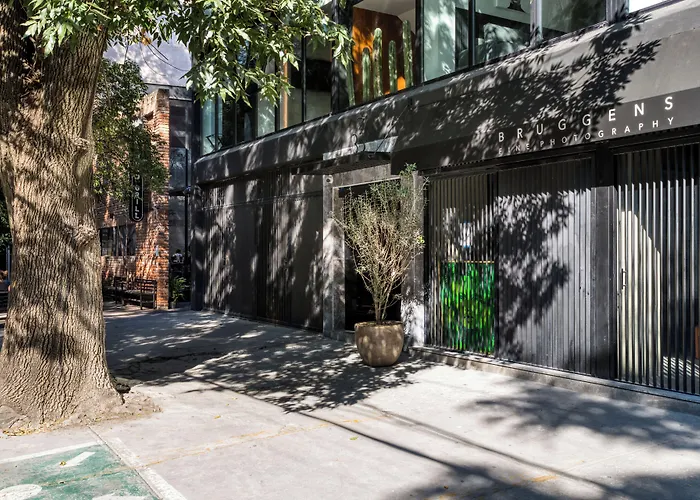 Uliv Park Polanco *